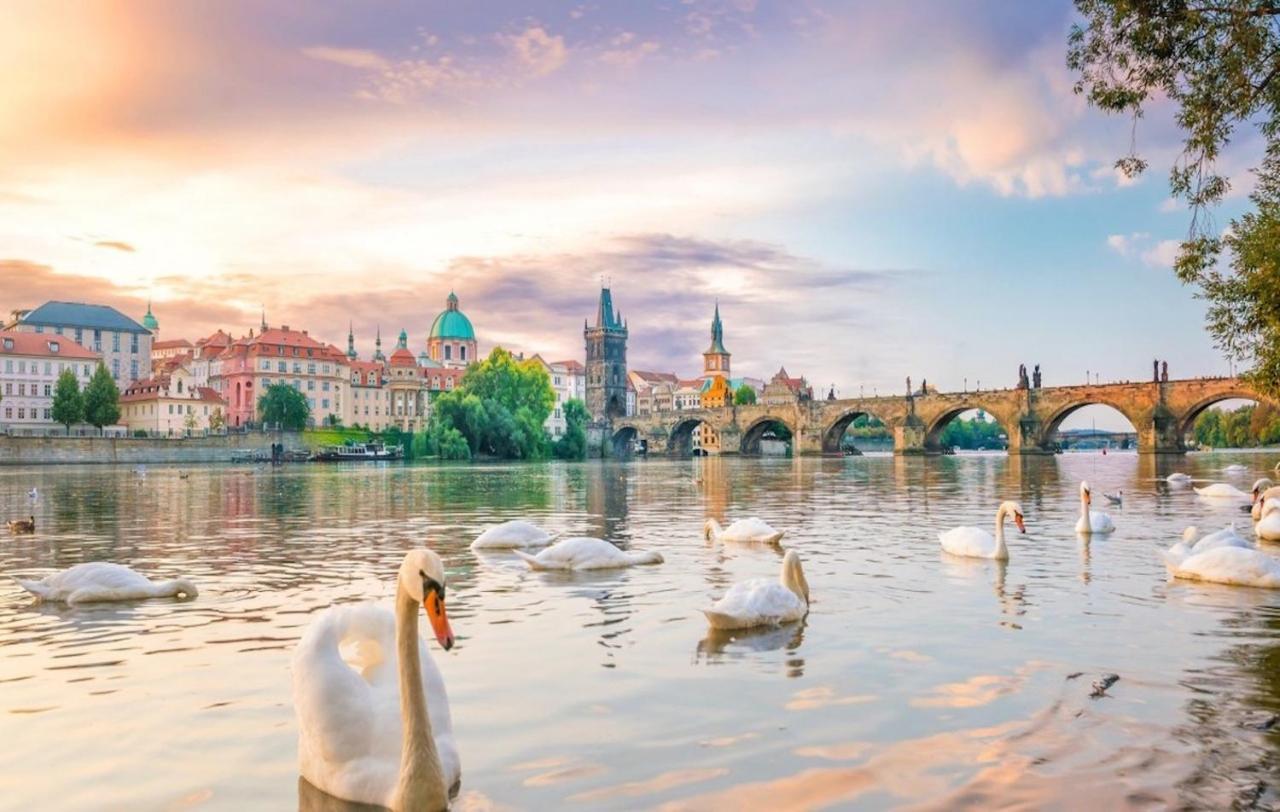 White Swan Boutique Apartments Prague Extérieur photo
